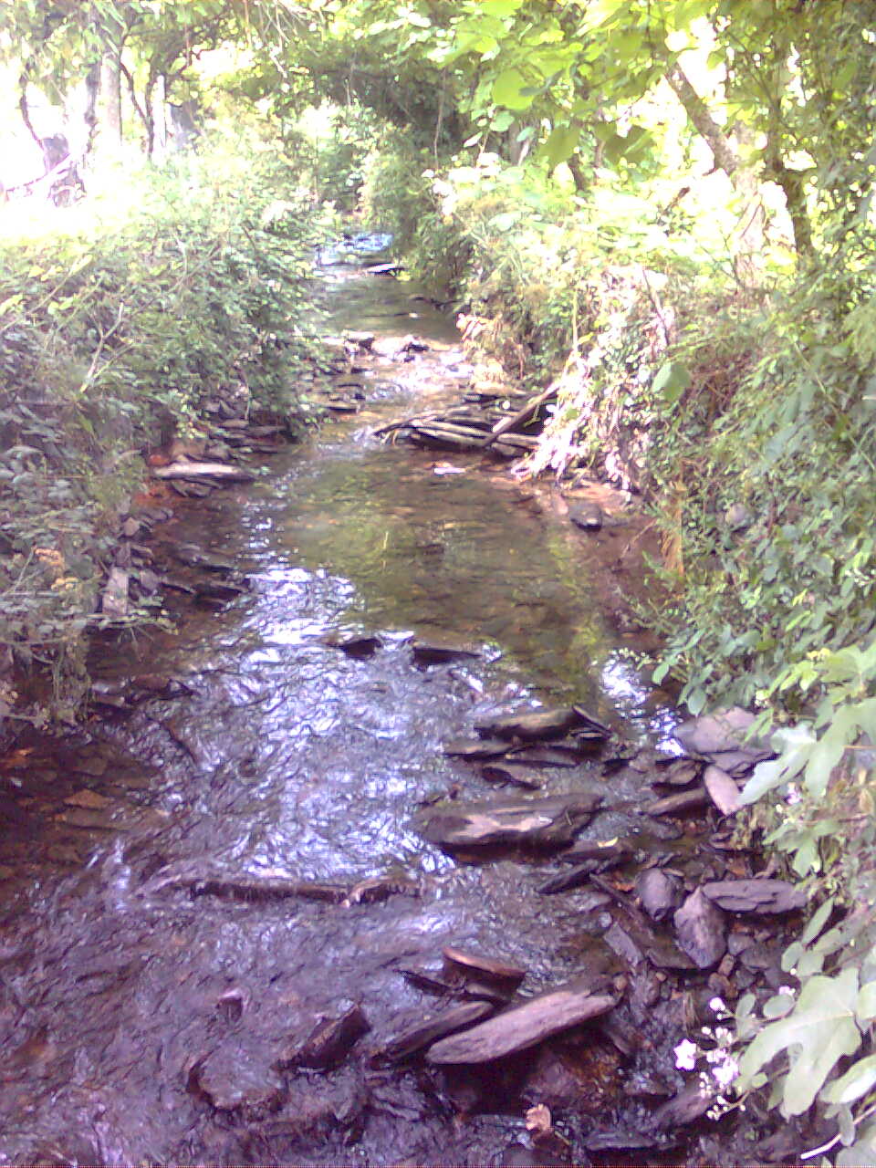 Img0065